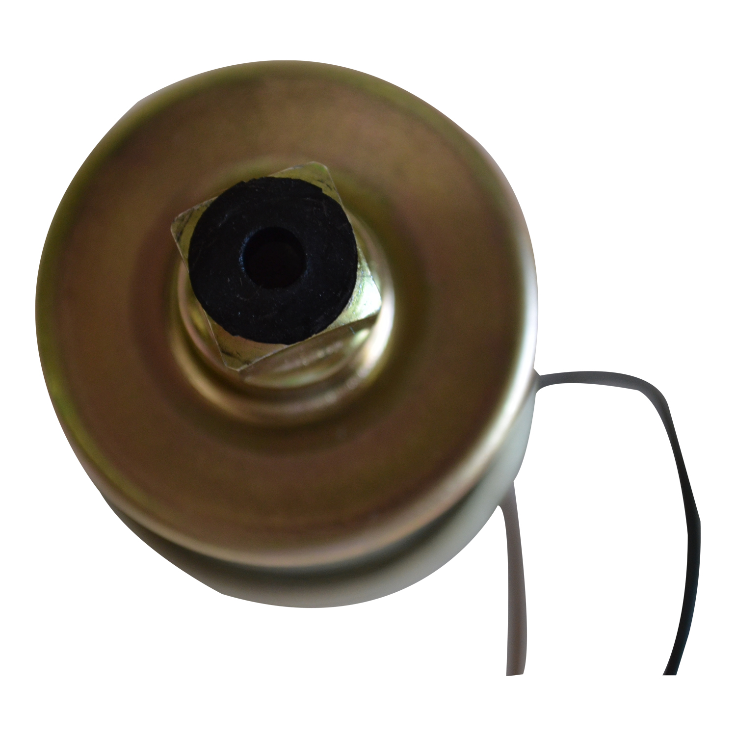 Electric Fuel Pump 599-1390 - Image 2