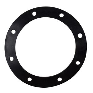 Fuel Pump Tank Seal 500-2023