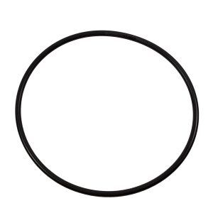 Fuel Pump Tank Seal 500-2031